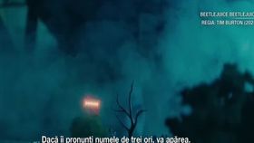 VIDEO A inceput festivalul de film de la Venetia. Cele mai mari staruri ale cinematografiei vor păși pe covorul roșu